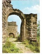 Deutschland - Burgruine Wildenberg Bei Amorbach Im Odenwald - Odenwald