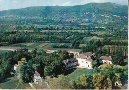 BRANGUES  (38) Très Belle Vue Aérienne - Le Château - Brangues