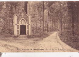 GREZ-DOICEAU : Un Coin Du Bois De Beausart - Grez-Doiceau