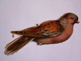 "" JOLI LOT  3  DECOUPIS   GAUFRES  //    OISEAUX    ""  9,5 Cm - Animaux