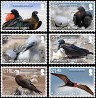 ASCENSION  2013 - Faune, Oiseaux Marins - 6val Neufs // Mnh - Ascensión