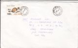 POLECAT, STAMP ON COVER, 1996, ROMANIA - Brieven En Documenten