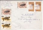 UNO, ONU, BEETLE, EGYPTIAN MONGOOSE, STAMPS ON COVER, 1999, ROMANIA - Covers & Documents