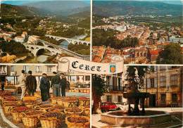 CERET COUP D'OEIL SUR LA VILLE CARTE MULTIVUES - Ceret