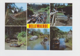 Belgique - Un Bonjour De Bellewaerde - Hippopotame Autruche - Parc D'attraction - - Hippopotames