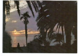 Sunset At Sea - Palm Trees - Gagra - Abkhazia - 1982 - Georgia USSR - Unused - Georgia