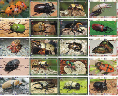 A02407 China Phone Cards Insect Puzzle 80pcs - Autres & Non Classés