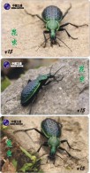 A02408 China Phone Cards Insect 143pcs - Other & Unclassified