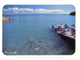 (508) Australia - NT - Darwin Feeding Fish - Darwin