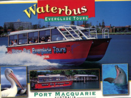 (800) Australia - NSW - Port Macquarie Waterbus Tours - Port Macquarie