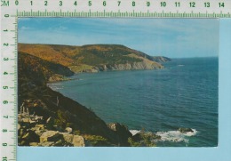 Cape Breton ( Beautyful Meat Cove In Scenic ) Post Card Carte Postale 2 Scan - Cape Breton
