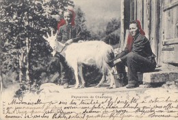 Suisse - Champéry - Agriculture Paysannes - Postal Mark 1902 - Champéry