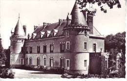 Cpsm 89 VILEBLEVIN - Le Château - Nr 28.202 Valoire à Blois - D14 201 - Villeblevin