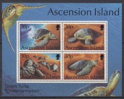 Ascension - 1994 Green Turtle Block MNH__(TH-5084) - Ascensión