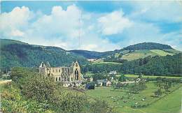 TINTERN ABBEY - Monmouthshire