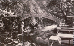 Thale - Jungfernbrücke Mit Hotel Am Hirschgrund - Thale