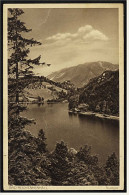 Bad Reichenhall  -  Am See  -  Ansichtskarte Ca. 1927    (2816) - Bad Reichenhall