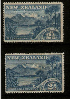 NEW ZEALAND 1898 2½d SG 249a And SG 250 MOUNTED MINT Cat £61 - Ongebruikt