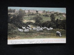 Mount Ephraim ( 1900 - 1910 ) - Southampton