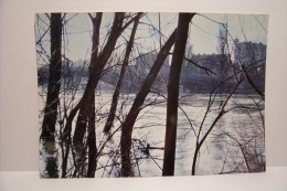 VILLENEUVE -LA-GARENNE   ---Le Pont Vu De L´Ile St Denis ( Crue De La Seine 1967 ) - Villeneuve La Garenne