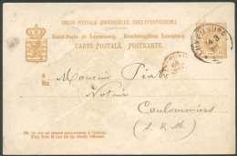 LUXEMBOURG TO COLOMMIERS Postal Stationery 1880 VF - Entiers Postaux