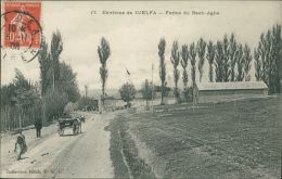 ALGERIE  DJELFA / Ferme Du Bach-Agha / - Djelfa