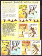 JAMAICA - BIRDS - AUDUBON - PELICANS  - **MNH - 1985 - Pelicans