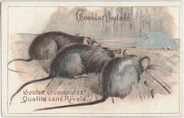 CHROMO - CHOCOLAT POULAIN-GOUTEZ ET COMPAREZ! - Animaux - Rats- Souris - Poulain