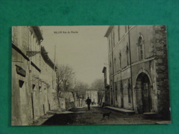 ARDECHE-VALLON-RUE DU MIARDU-ANIMEE - Vallon Pont D'Arc