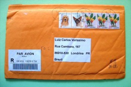 Taiwan 1996 Registered Cover To Brazil - Dog Cat Flowers Orchids - Covers & Documents