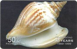 SOLOMON ISLANDS $50 SHELL SHELLS 1999 PIN 1ST ISSUE 1 YEAR TYPE ONLY THICK PLASTIC READ DESCRIPTION !! - Solomon Islands