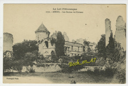 {66087} 46 Lot Assier , Les Ruines Du Château - Assier