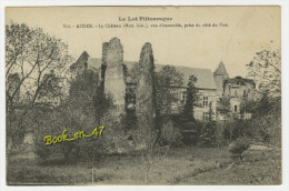 {66088} 46 Lot Assier , Le Château , Vue D´ Ensemble , Prise Du Côté Du Parc - Assier