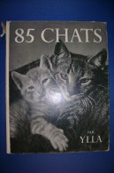 PFT/30 Ylla 85 CHATS Guilde Du Livre Lausanne Anni '50 /GATTI FOTOGRAFIE IN NERO - Tiere