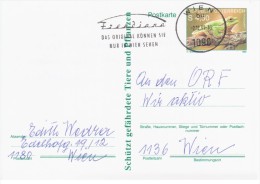 Austria Osterreich 1990 Frog Repriles Fauna, Wien - Briefkaarten