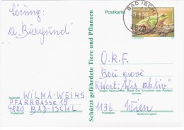 Austria Osterreich 1990 Frog Repriles Fauna, Bad Ischl - Briefkaarten