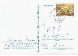Austria Osterreich 1990 Frog Repriles Fauna, Furstenfeld - Briefkaarten