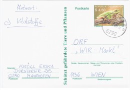 Austria Osterreich 1990 Frog Repriles Fauna, Mayrhofen - Briefkaarten