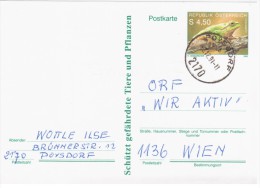 Austria Osterreich 1990 Frog Repriles Fauna, Poysdorf - Briefkaarten