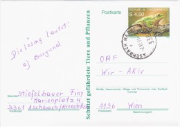 Austria Osterreich 1990 Frog Repriles Fauna, Aschbach - Briefkaarten