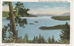 BT17291 Idaho Sandpoint Beautiful Lake Pend D Oreille USA Scan Front/back Image - Sonstige & Ohne Zuordnung