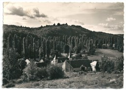 Cpsm: 46 Environs De SALVIAC (ar. Gourdon) PONT CARAL 1956 N° 17 - Salviac