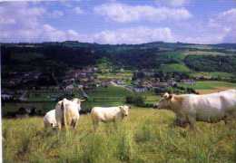 38 VIRIEU SUR BOURBRE , Vaches - Virieu