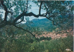 Buis Les Baronnies" Belle Carte " Edition Cim N° 26063 (3.83.79.0678)- Dos Divisé- Non écrite & Non Circulée. - Buis-les-Baronnies