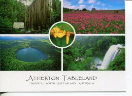 (459) Australia - QLD - Athertons Tablelands - Atherton Tablelands
