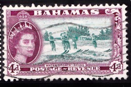 Bahamas, 1954, SG 206, Used - 1859-1963 Colonie Britannique