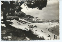 @ CPSM BEG - MEIL, LES PLANTATIONS DE PINS SUR LES DUNES DEVANT LA GRANDE PLAGE ANIMEE, FINISTERE 29 - Beg Meil