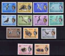 Ascension - 1963 - Birds Definitives (Part Set) - MH - Ascensión