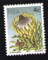 Afrique Du Sud 1977 Timbre Used Stamp Fleur Flower Protea Longifolia - Gebraucht