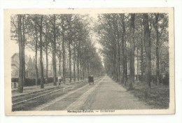 Merksplas-Kolonie - Kerkstraat - 1947 - Merksplas